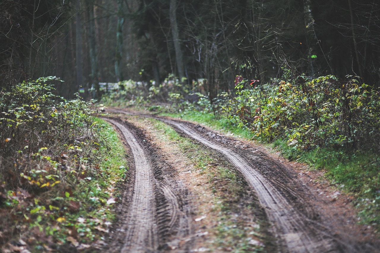 offroad